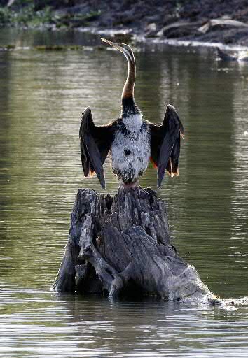 IMG_8033