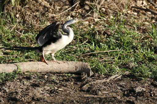 IMG_8623